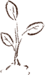 Sustainability Tree